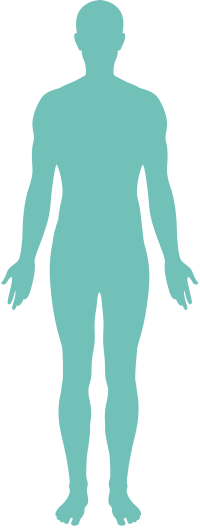 human-body